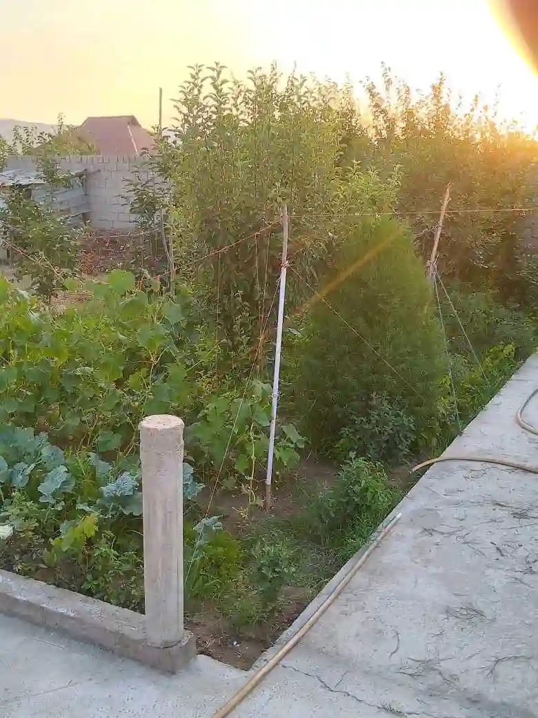 1 этажный, 4-комн. дом, 100 м², 6 соток, Восеъ
