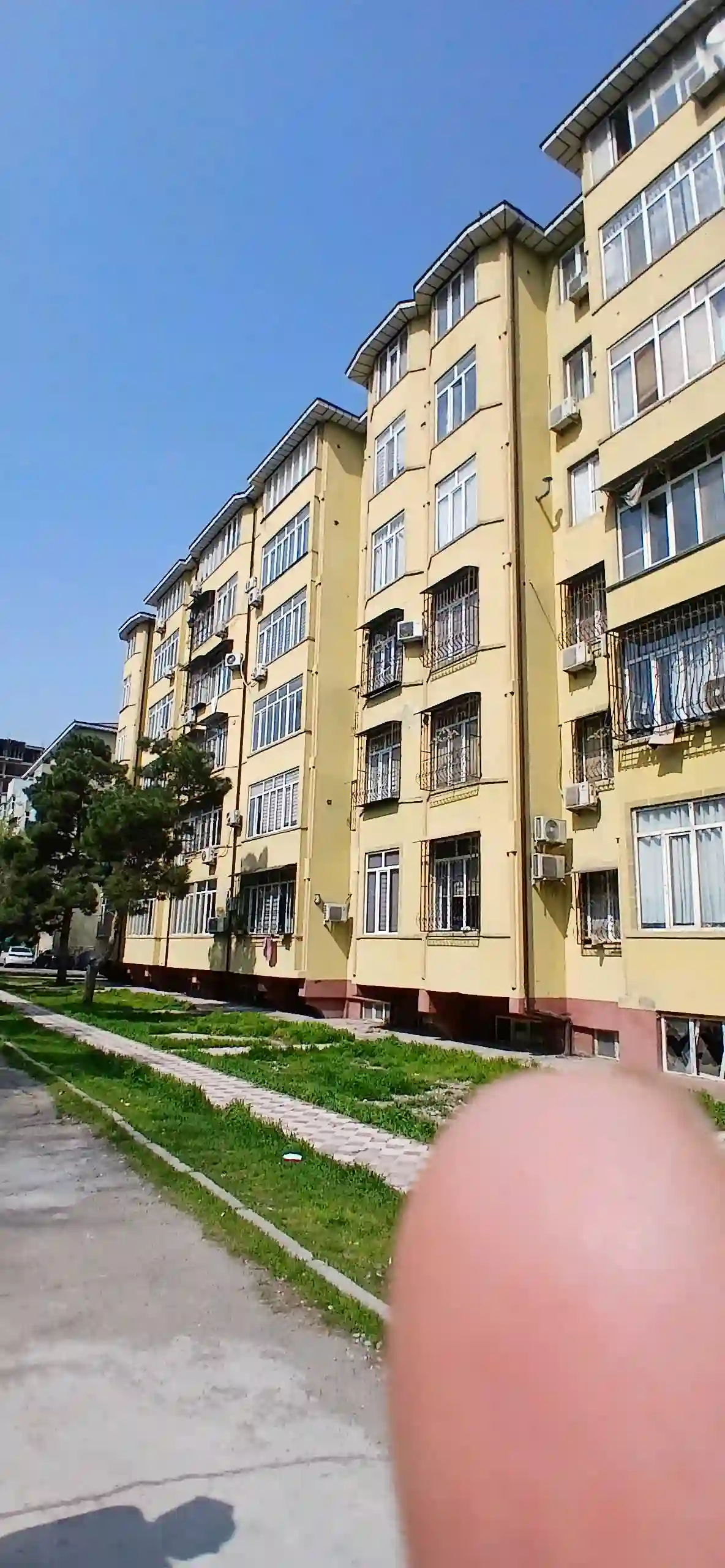баха