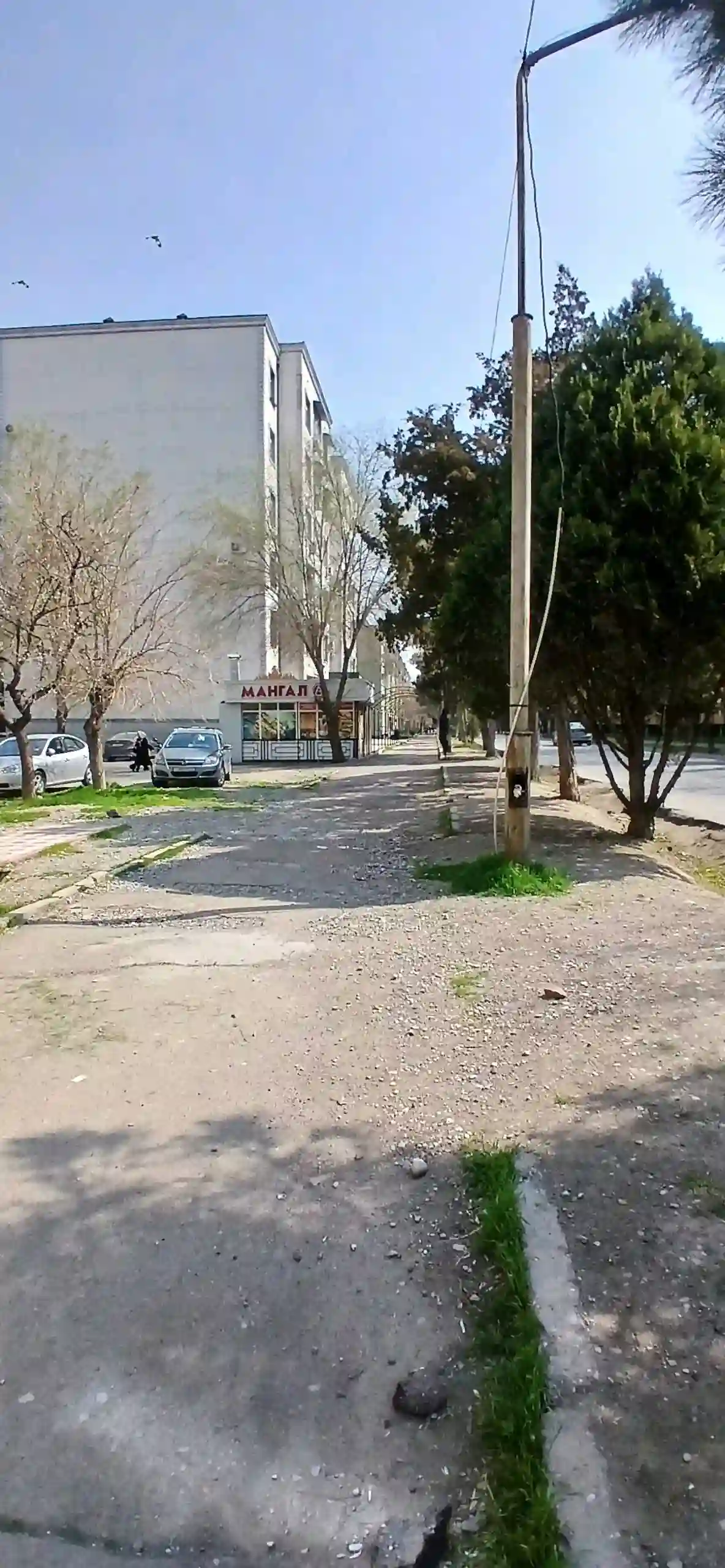 баха