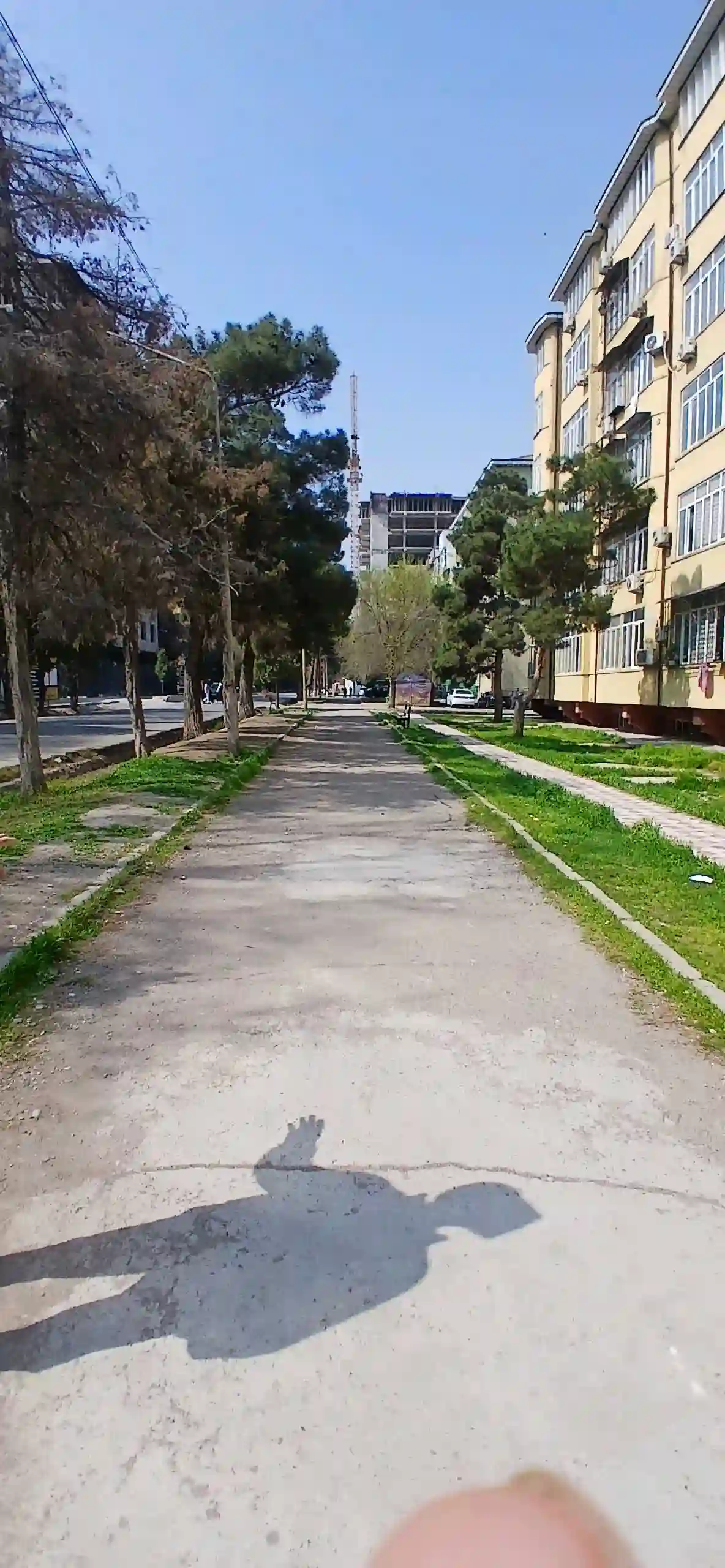 баха