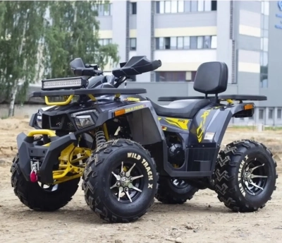 Квадроцикл motoland wild track 200
