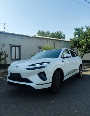BYD Sea Lion 06, 2025