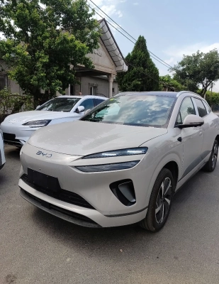BYD Sea Lion 06, 2026