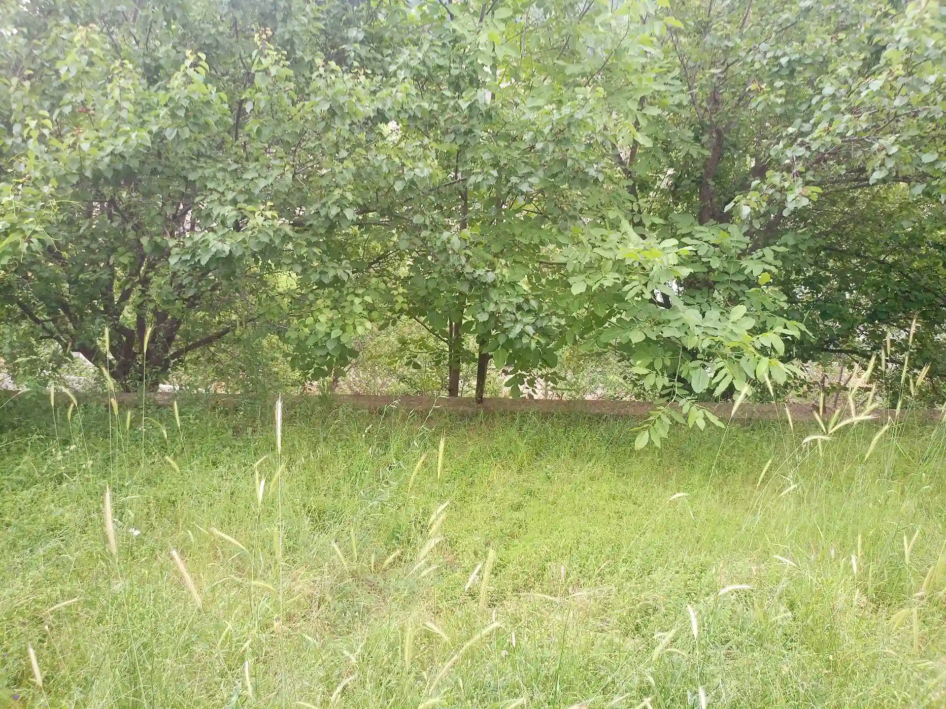 3 этажный, 4-комн. дом, 240 м², 6 соток, Варзоб 35 км гули майда