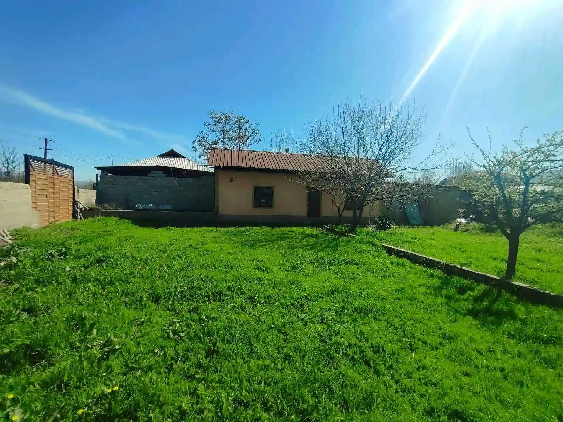 хавли 