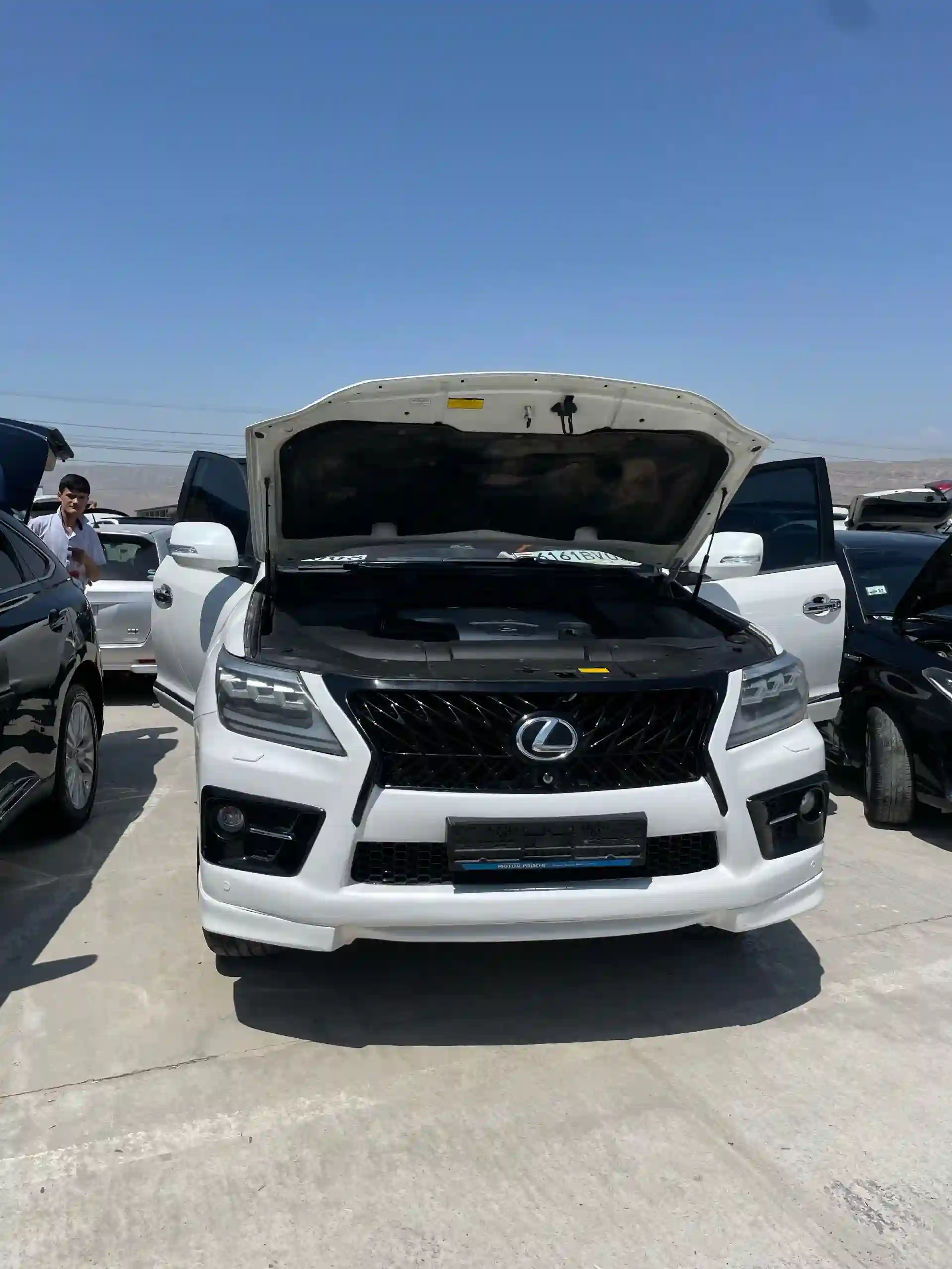 Lexus Lx series 2008 — миниатюра 14