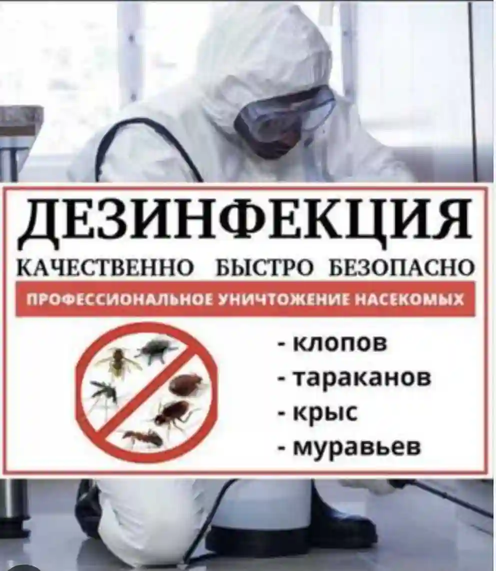 услуги по дезинфекции