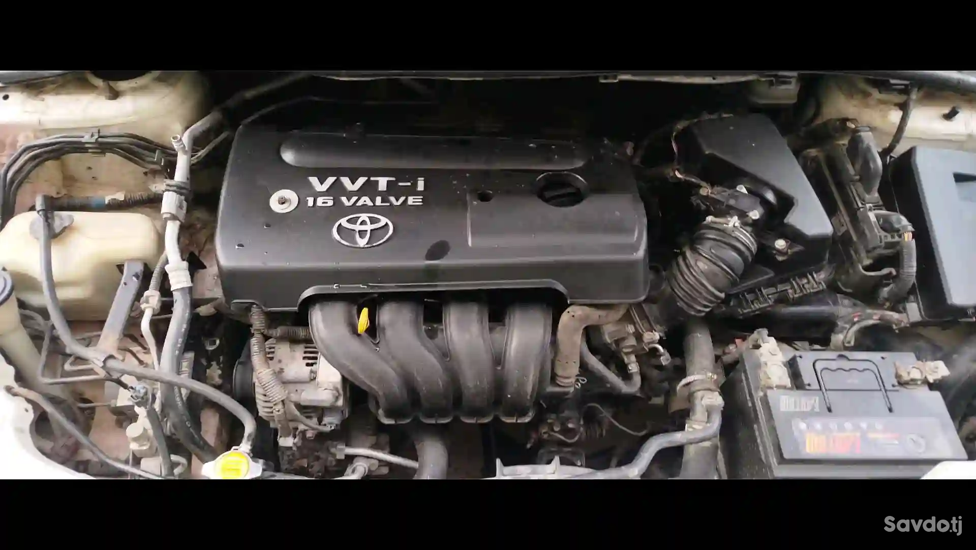 Toyota Corolla 2008 — миниатюра 6