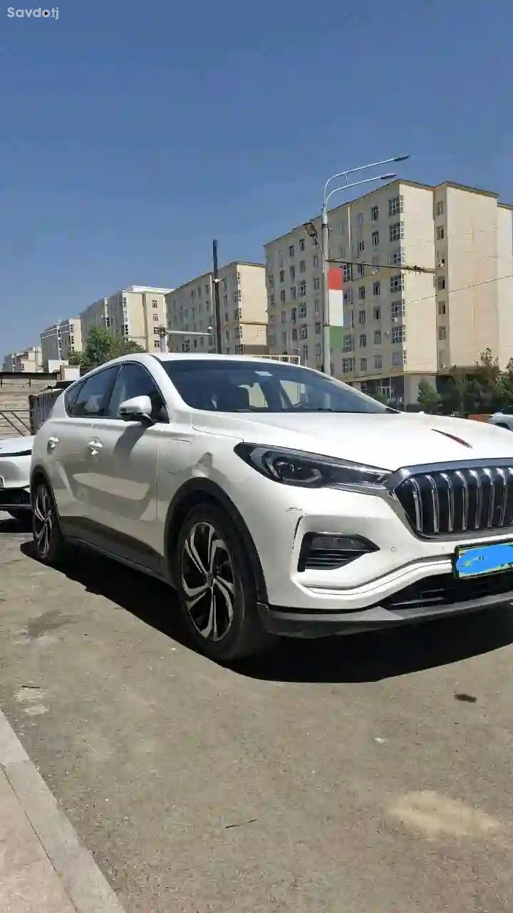 Hongqi E-HS3 2020
