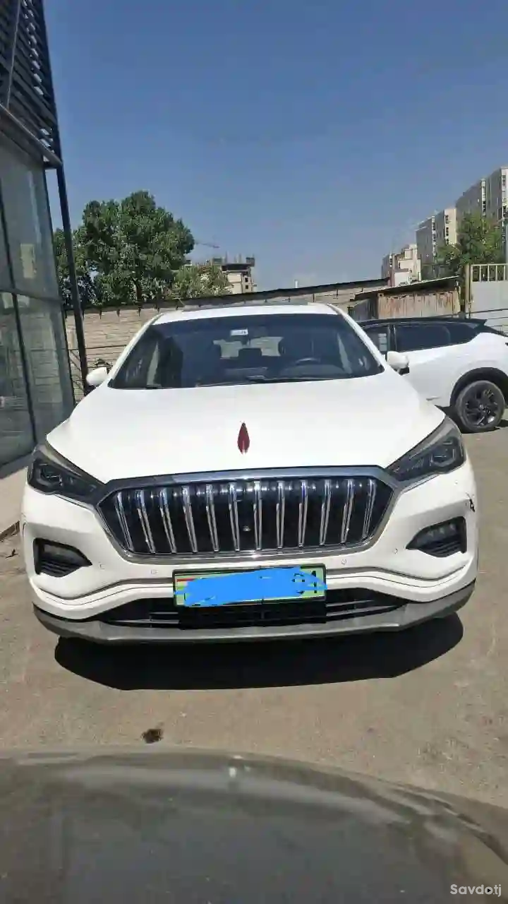Hongqi E-HS3 2020