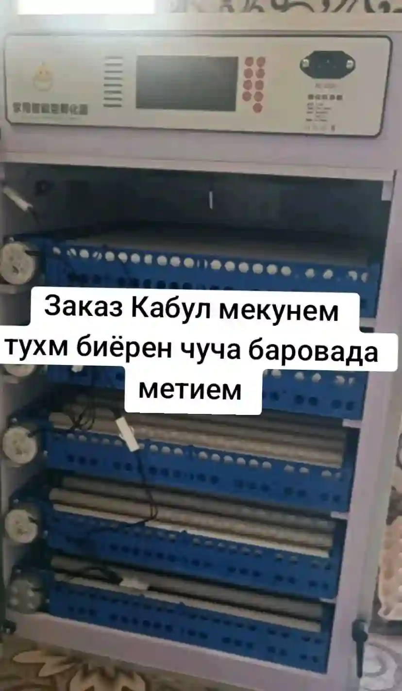 Услуги инкубация