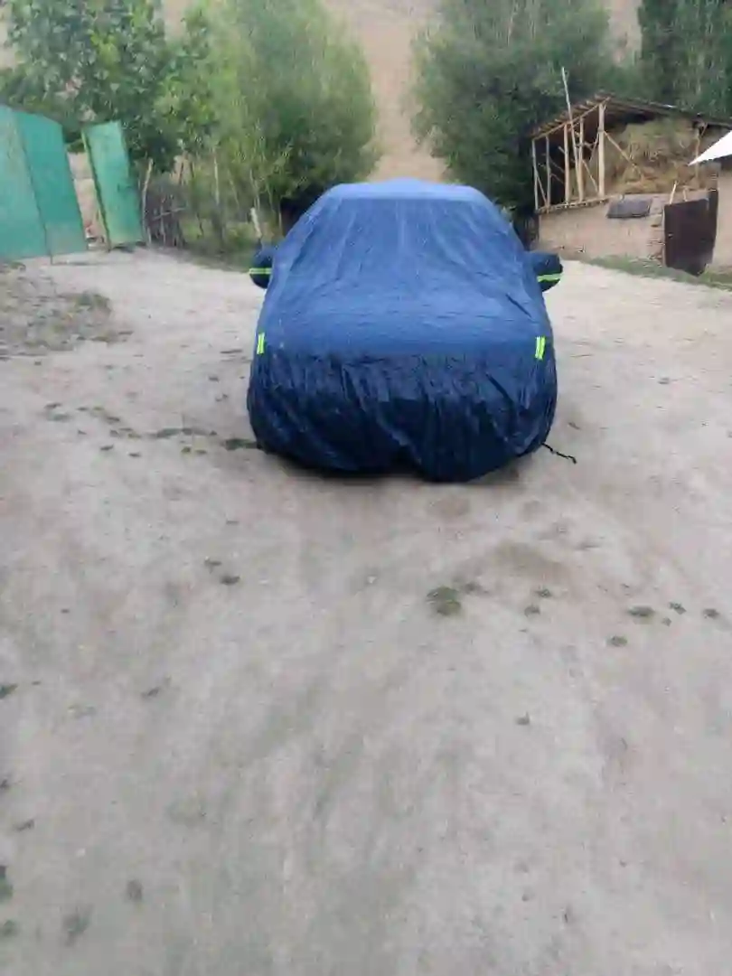 паладкаи начосдор