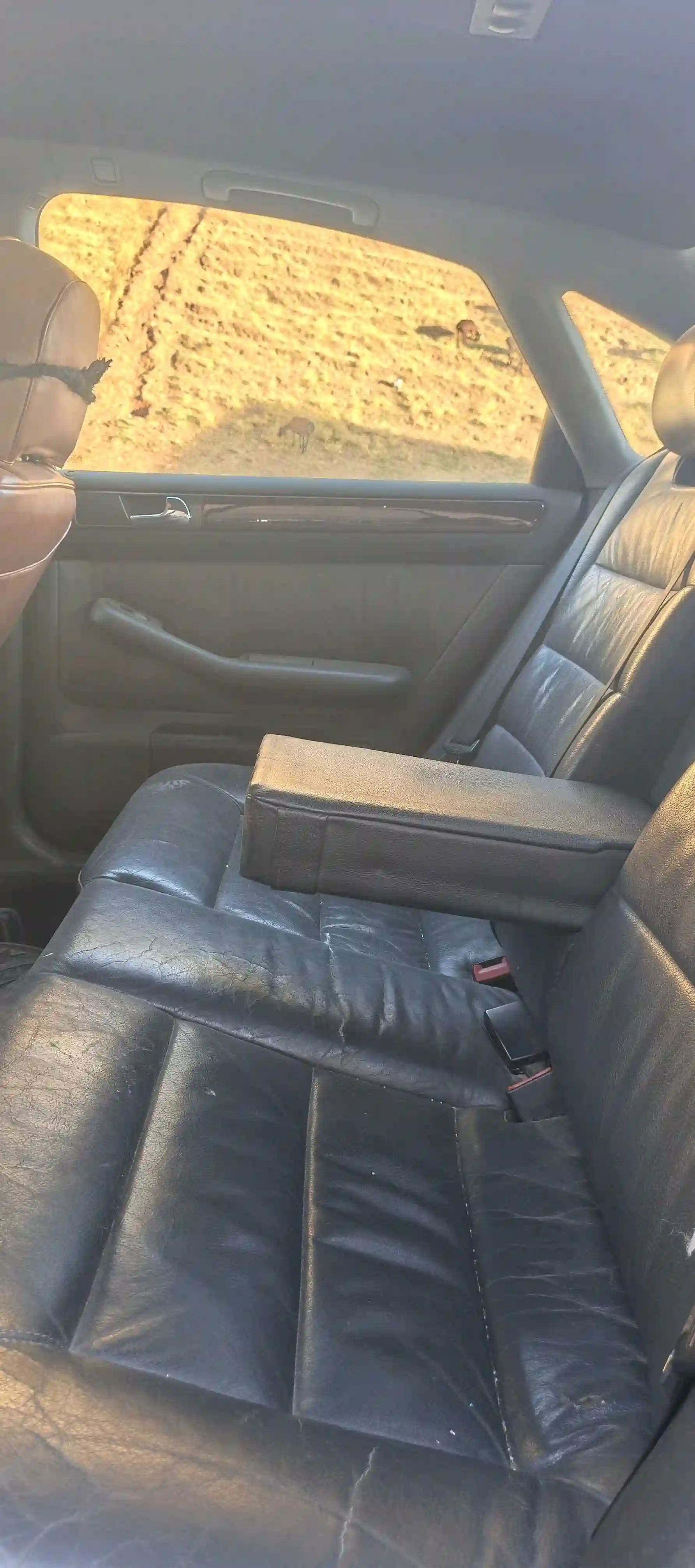 Audi A6 2000 — миниатюра 15