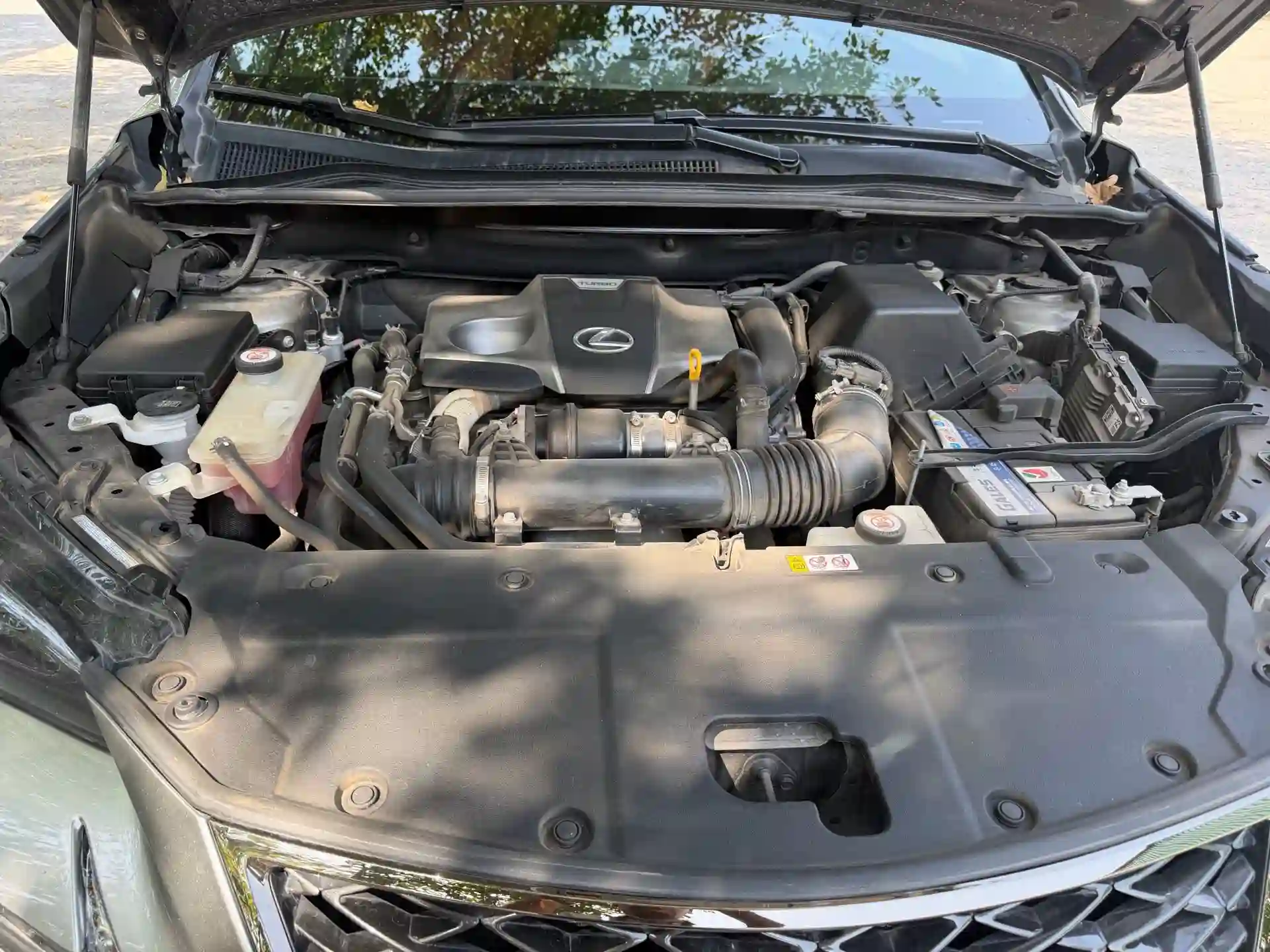 Lexus Nx series 2022
