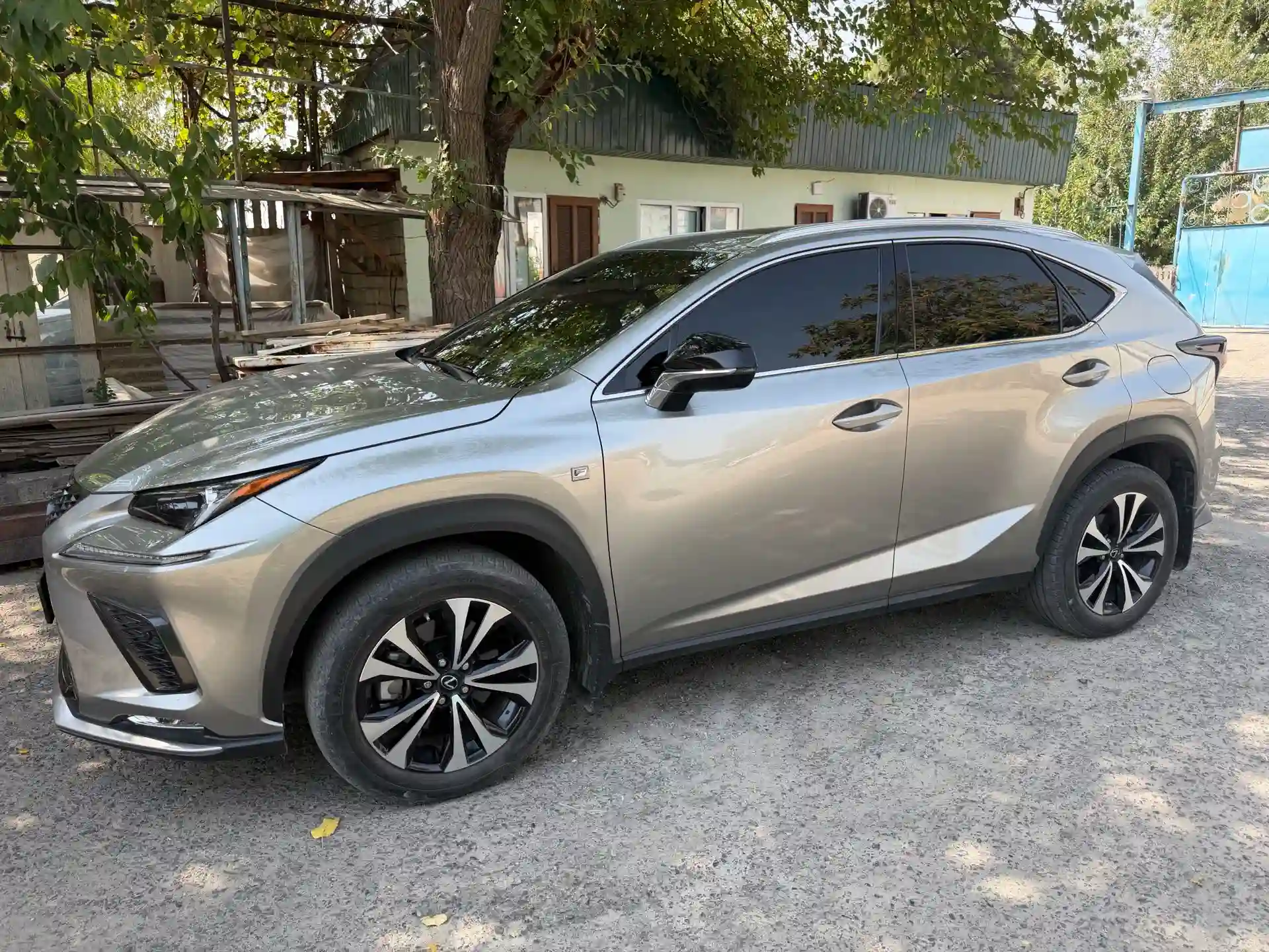 Lexus Nx series 2022