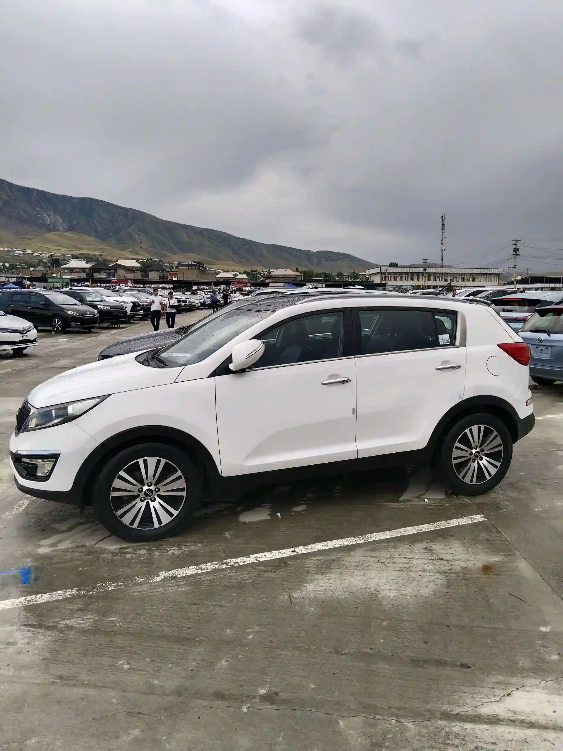 Kia Sportage 2014