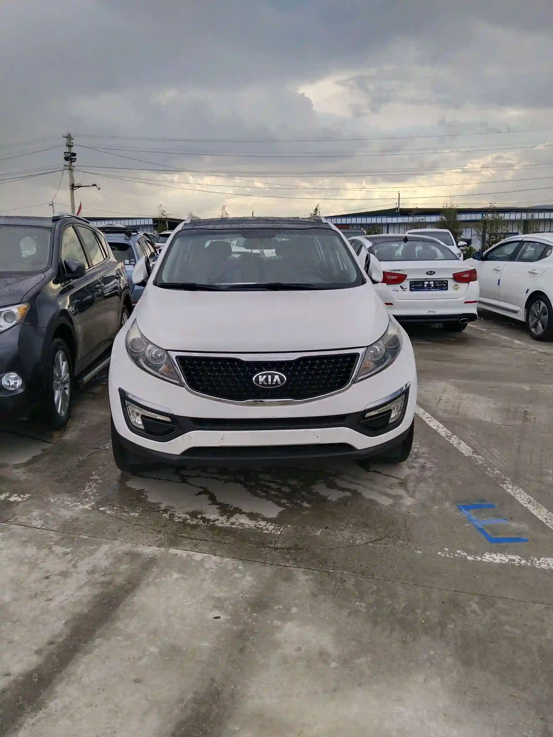 Kia Sportage 2014