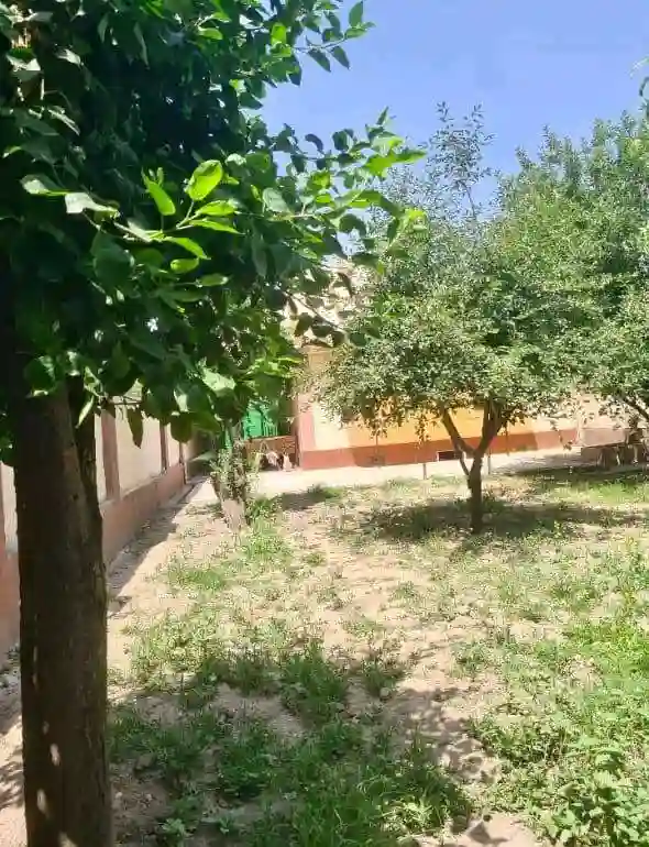 1 этажный, 5-комн. дом, 150 м², 2 соток, Сино
