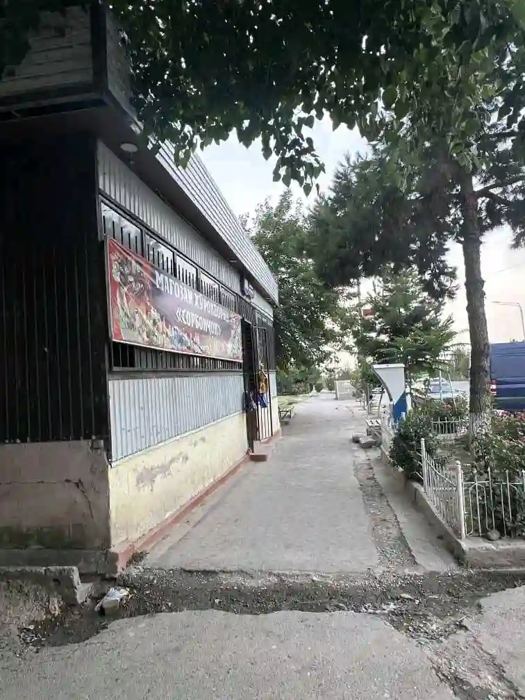 Магозаи хуроквори