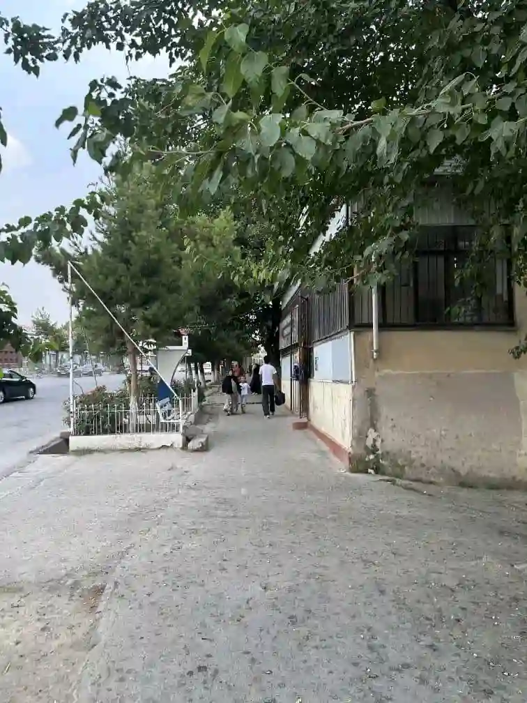 Магозаи хуроквори