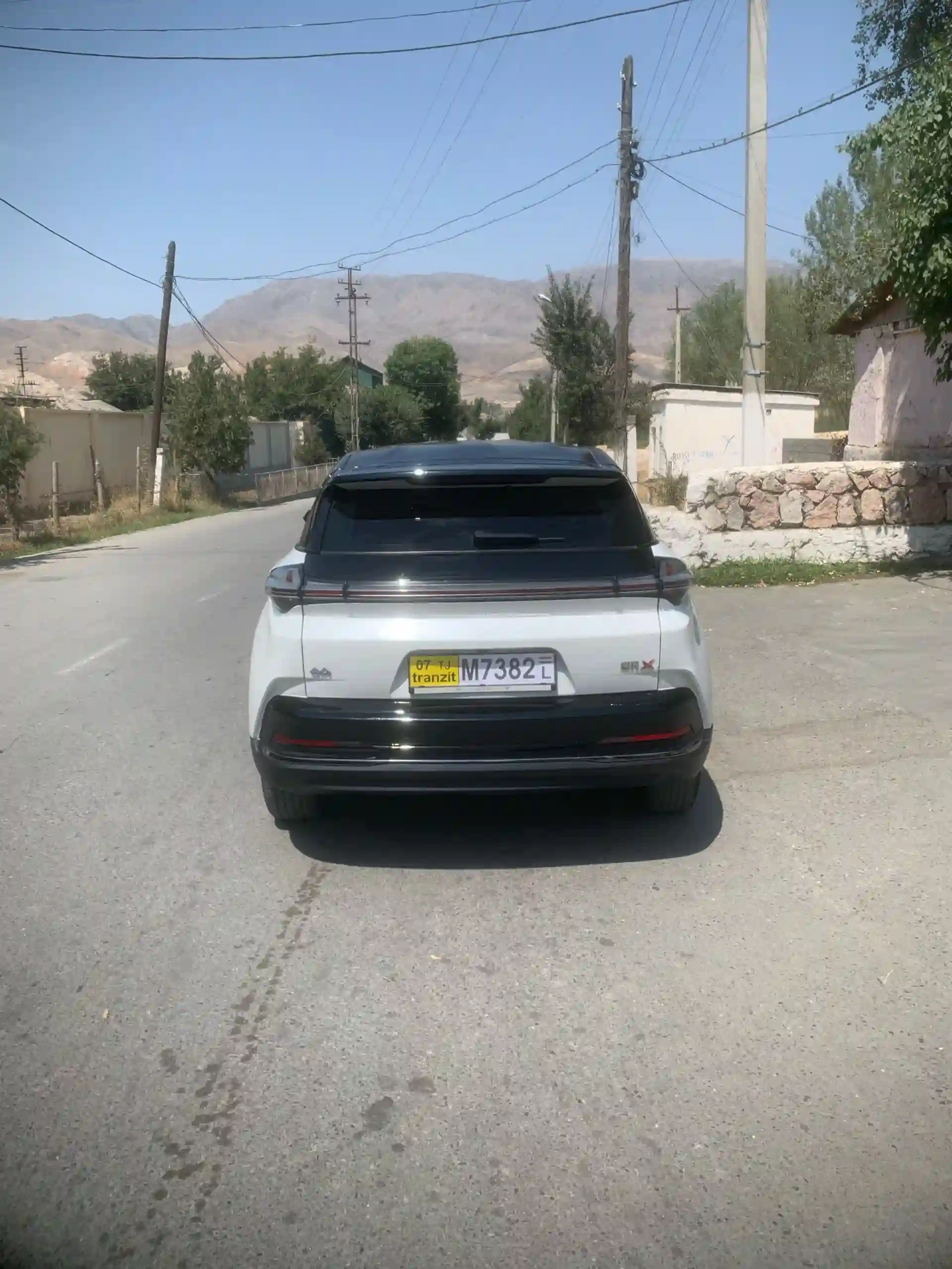 Neta S 2024