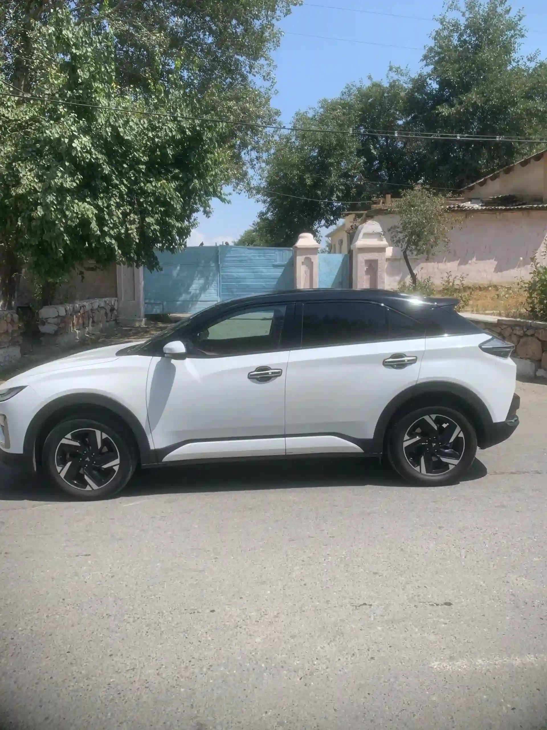 Neta S 2024