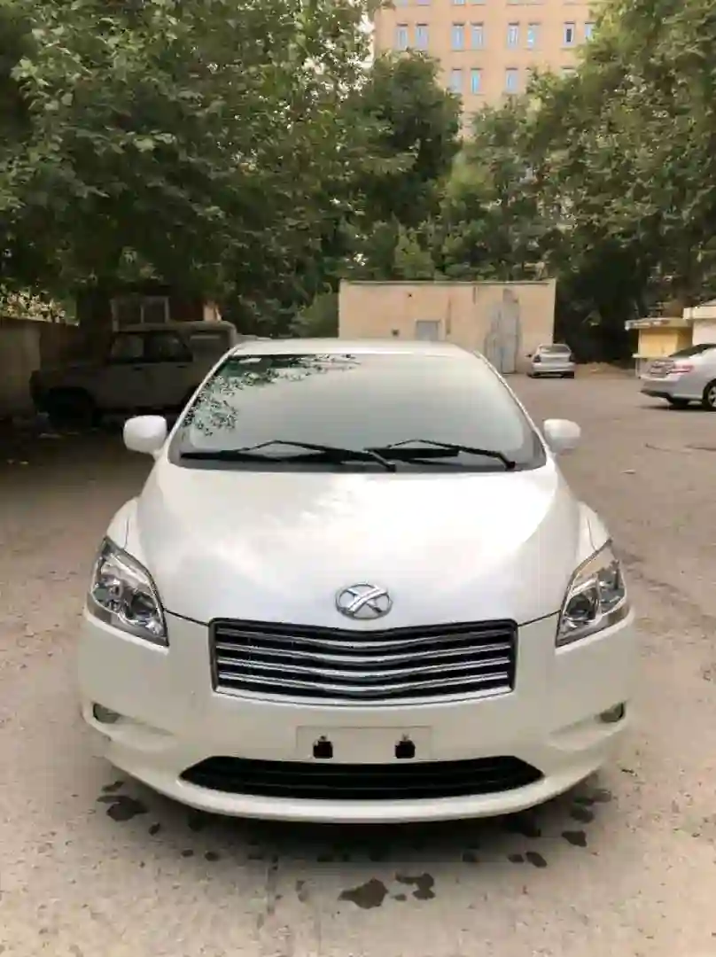 Toyota Mark X ZiO 2008