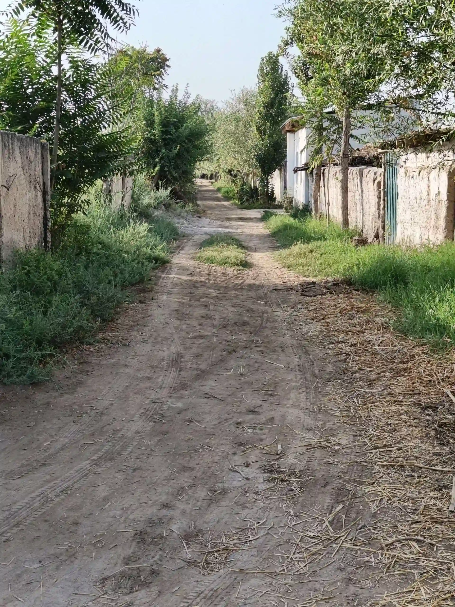 Замини фуруши