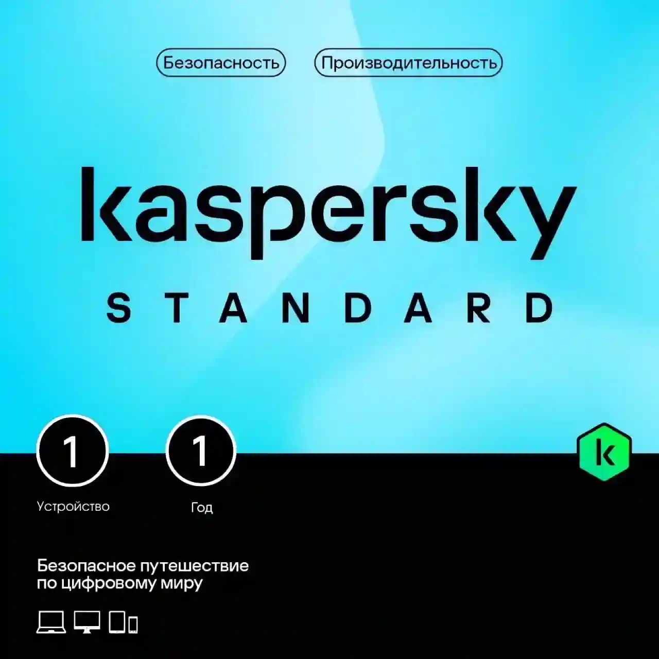 Антивирус Kaspersky Standard, для 1 ПК, 1 год