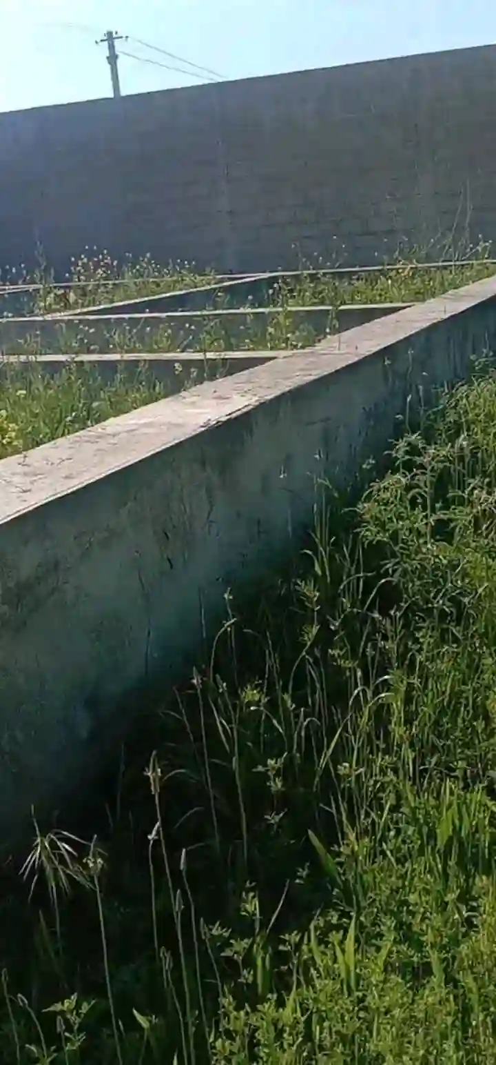 хонай фуруши