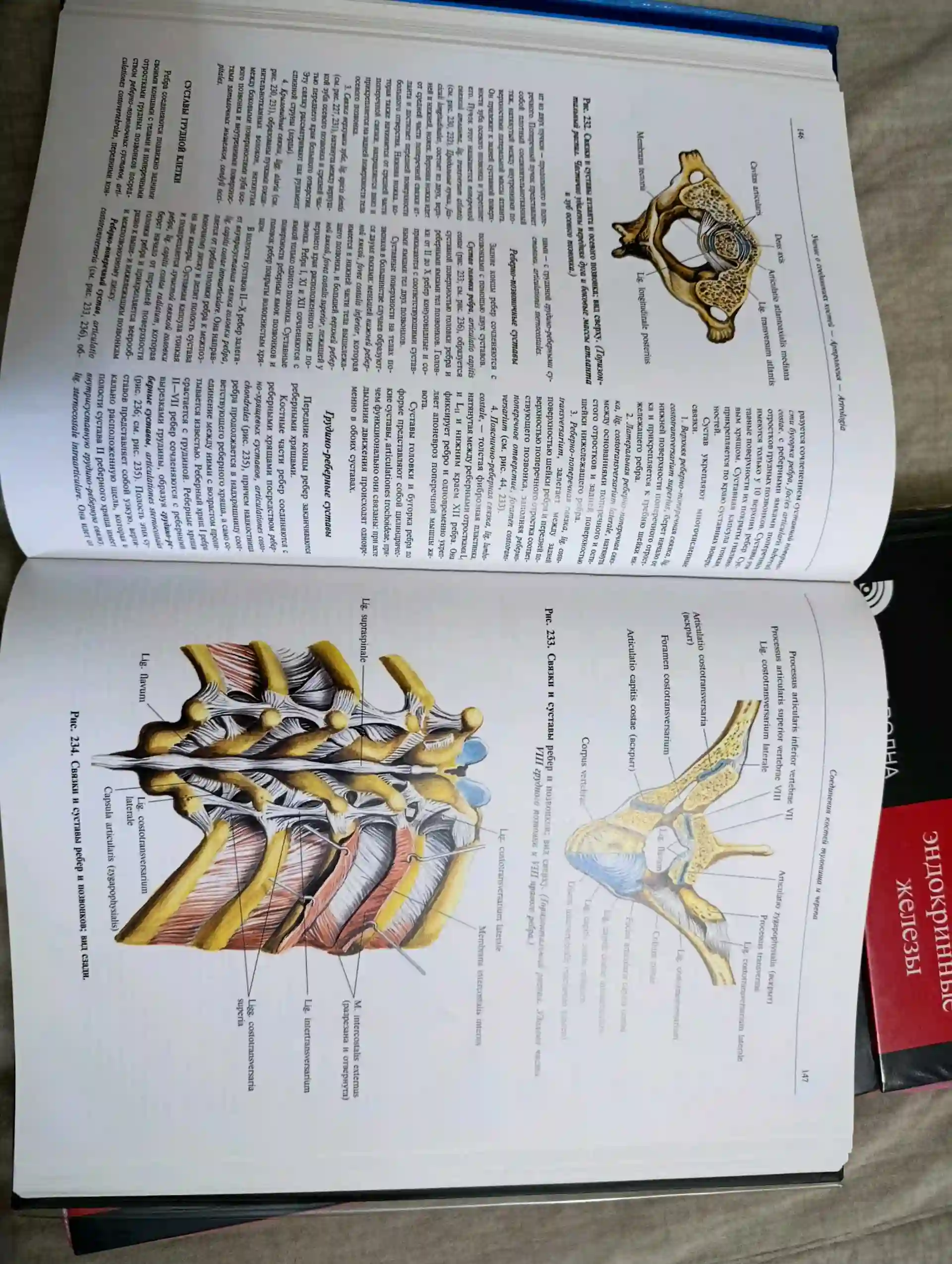 Книги по анатомии "Синельников"- 4 тома