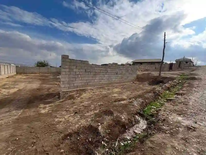 Дангара