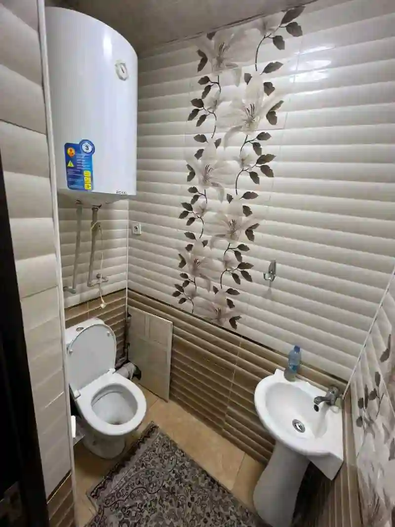 2-к квартира, 11 этаж, 75 м², цирк