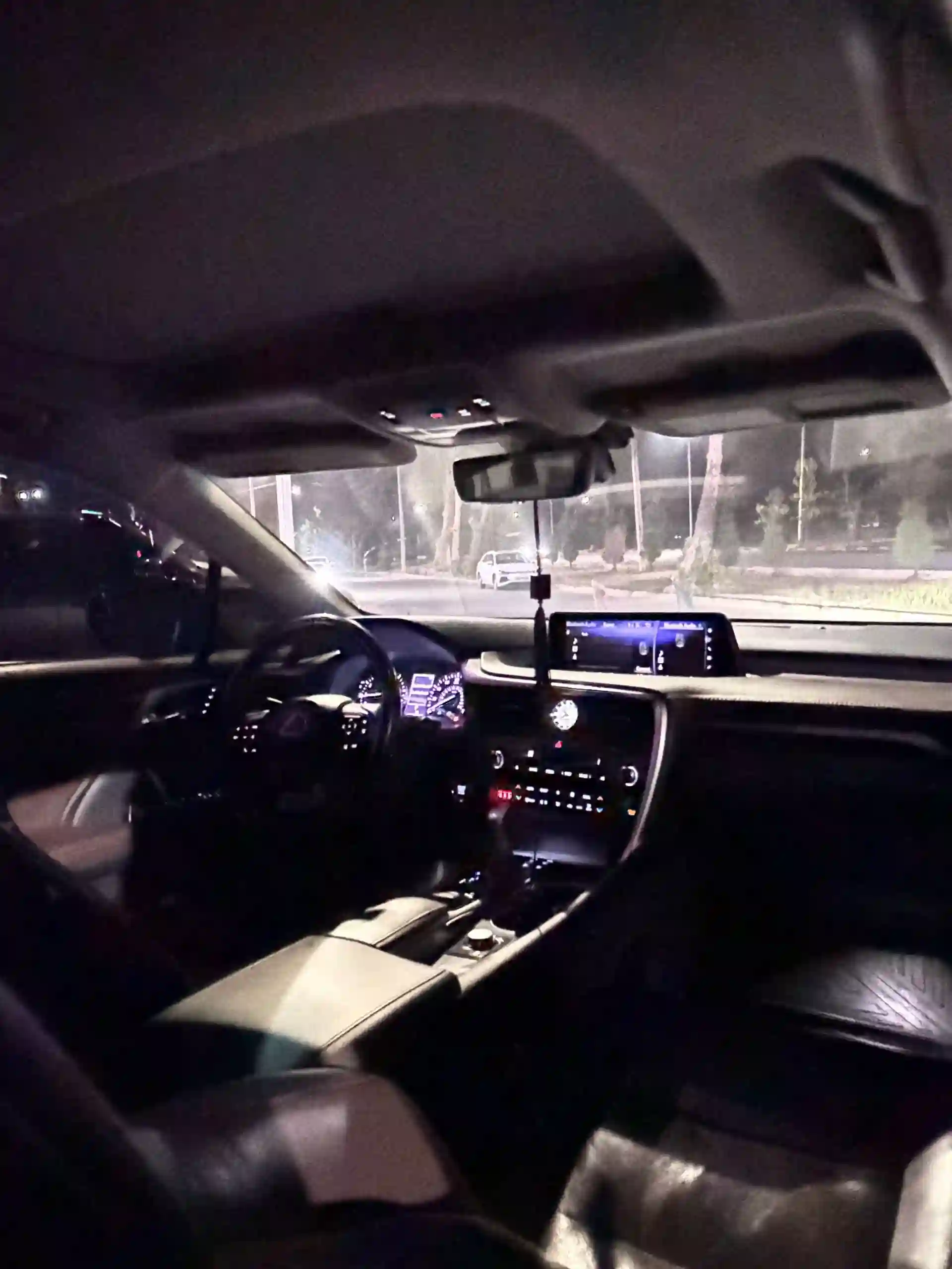 Lexus Rx series 2019 — миниатюра 6