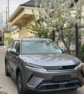 BYD Yuan Up, 2025