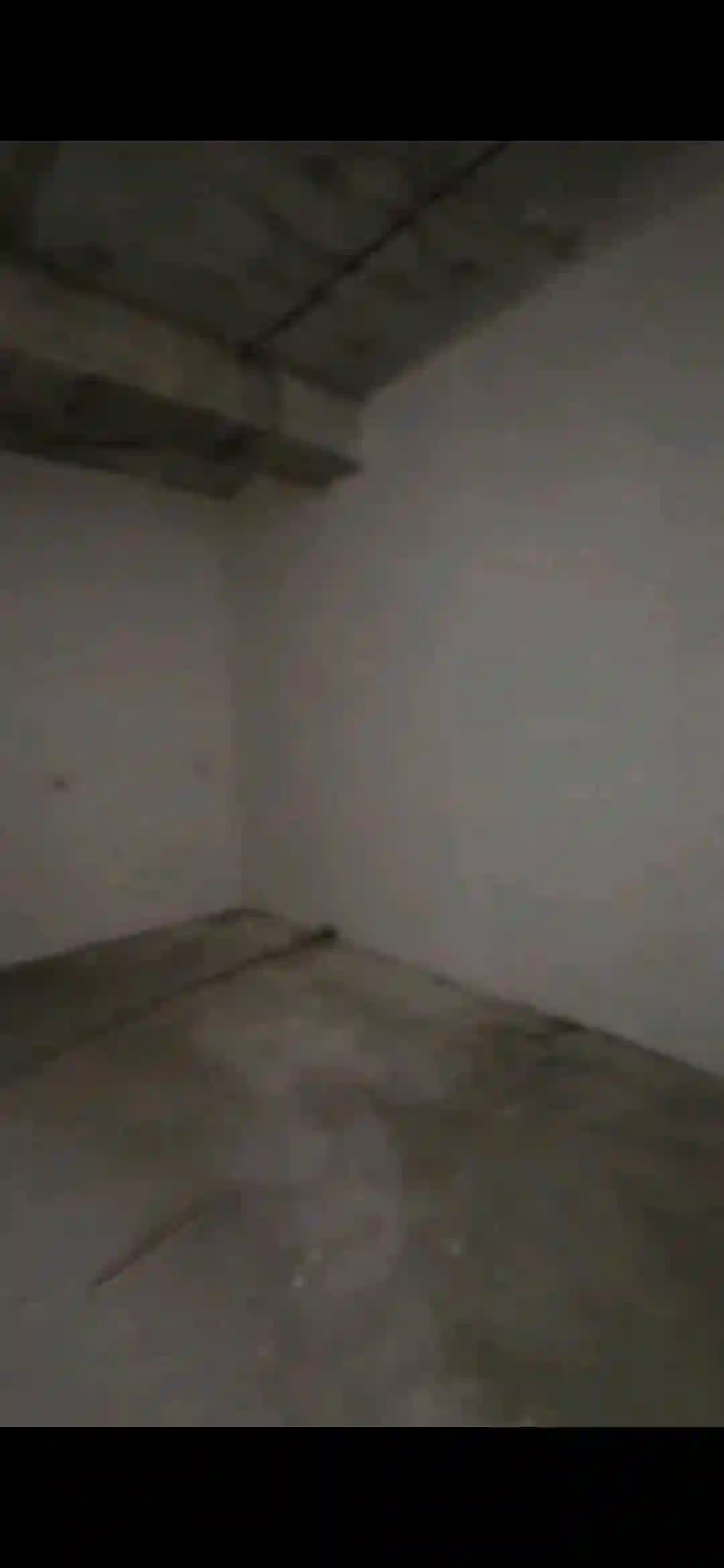 2-к квартира, 8 этаж, 65 м², Сино