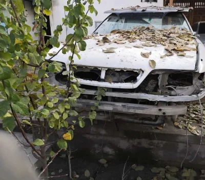 Капот и двери от Toyota Mark 2