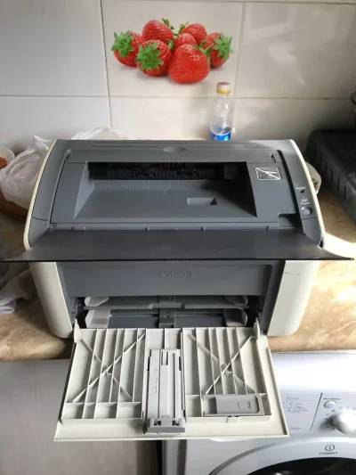 Принтер Canon lbp 2900