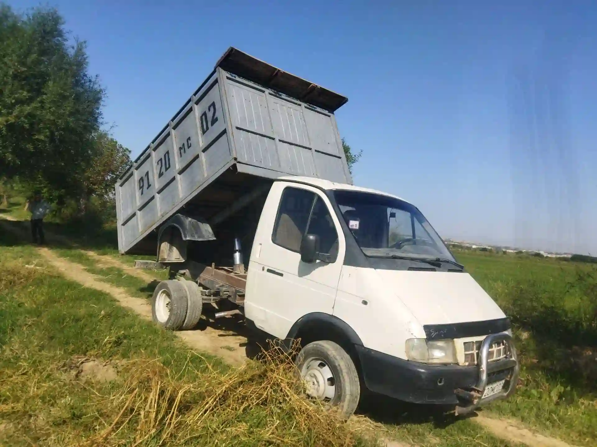 газель — миниатюра 7