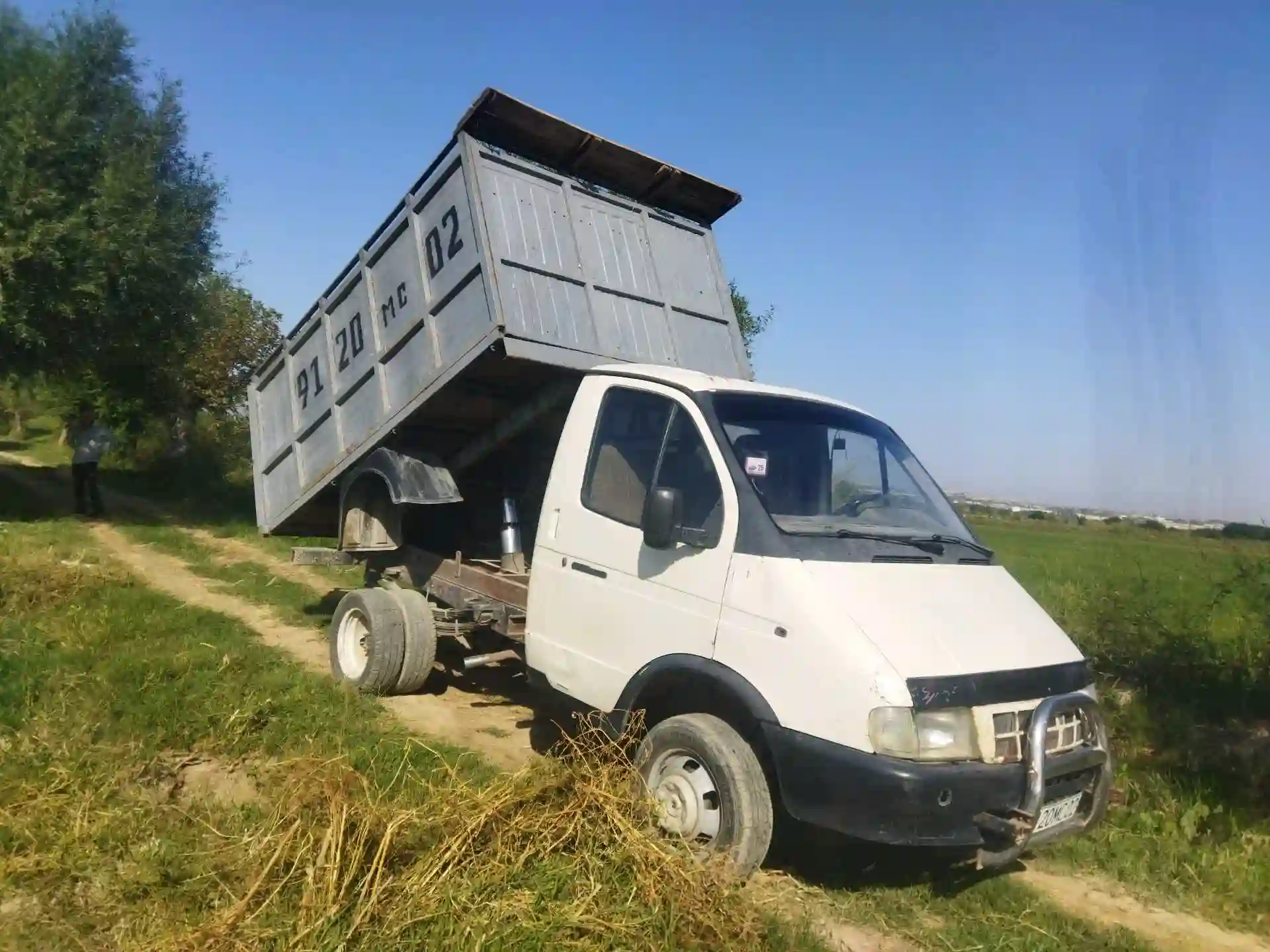 газель — миниатюра 3