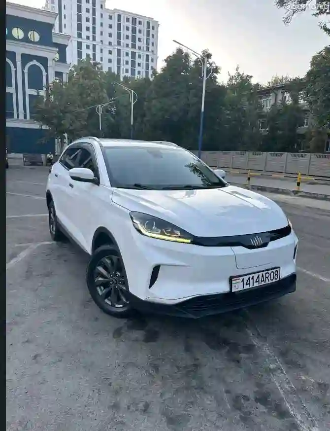 Weltmeister EX5 2019