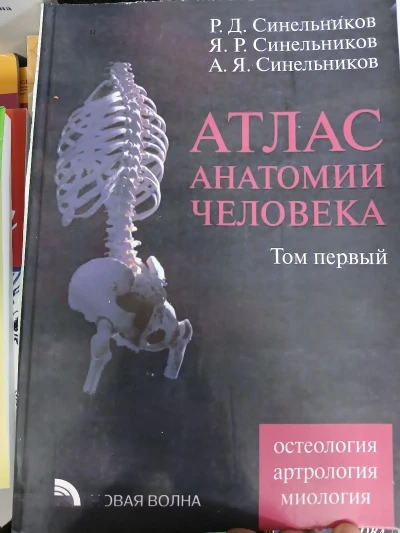 Книга Атлас Анатомии человека