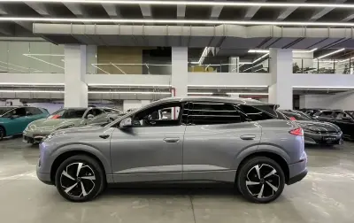 BYD Sea Lion 06, 2025 — миниатюра 3