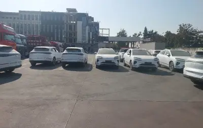 BYD Yuan Up, 2025