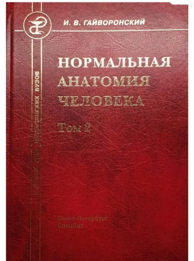Нормальная Анатомия Человека