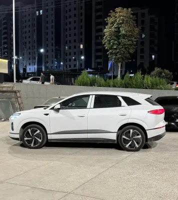 BYD Sea Lion 06, 2025