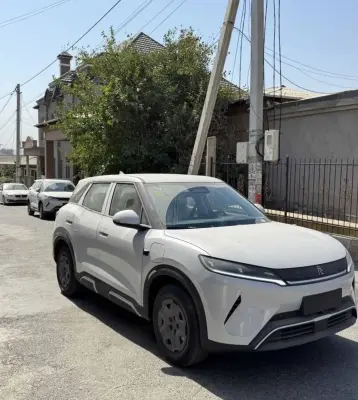 BYD Yuan Up, 2025