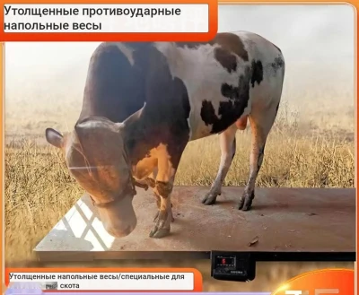 Тарозу