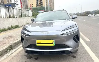 BYD Sea Lion 06, 2025 на заказ — миниатюра 8