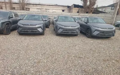 BYD Yuan Up, 2025